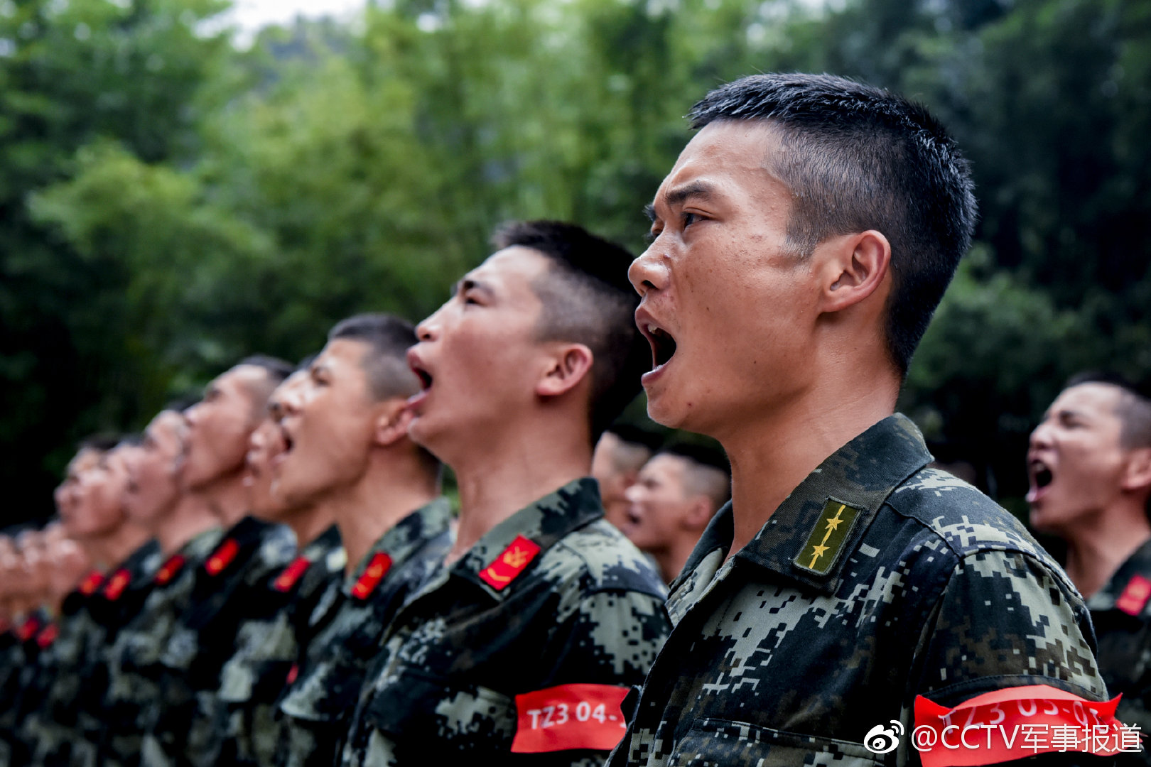 开云平台-东北地区战队壮志雄风，争夺总冠军