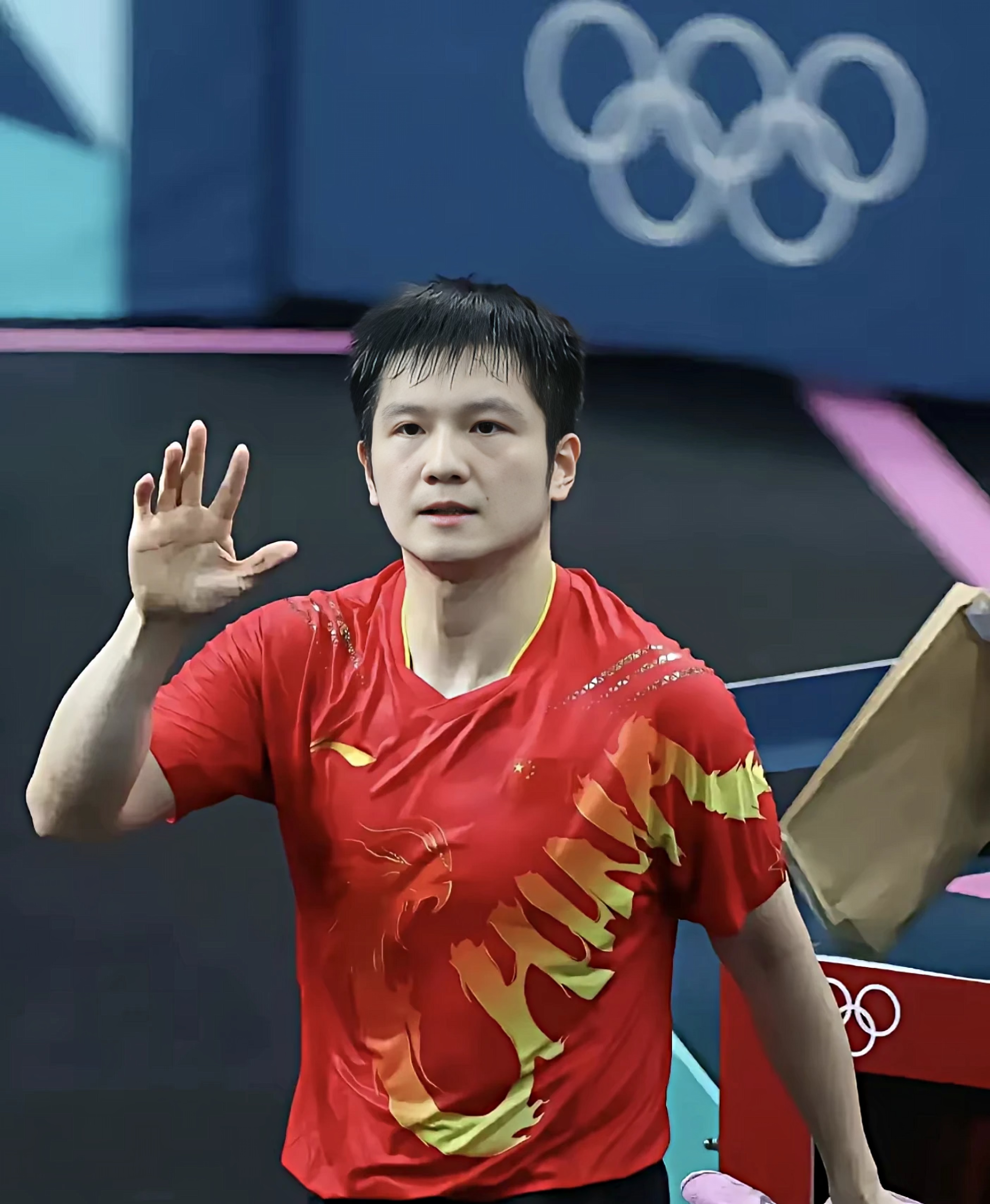 比利时乒乓球队逆转中国乒乓球队，樊振东打破历史纪录的简单介绍