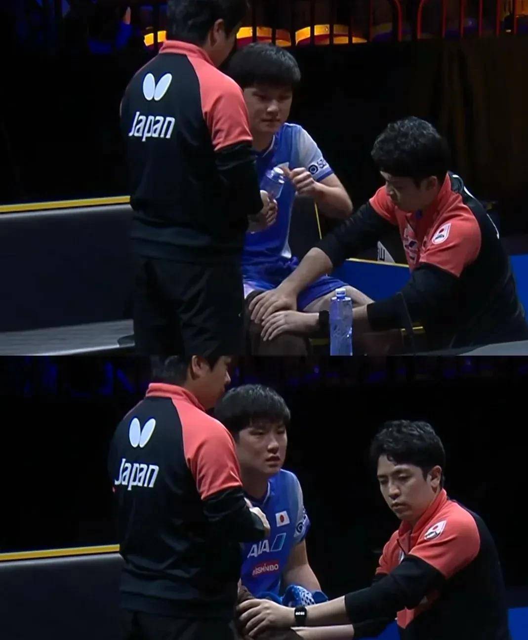 瑞典队翻盘韩国队,张本智和关键制胜 瑞典队翻盘韩国队,张本智和关键制胜